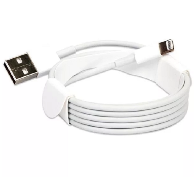 Apple Lightning to USB Cable