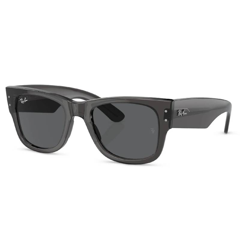 Ray-Ban Meta Wayfarer (Gen 1) RW4006 M / Standard